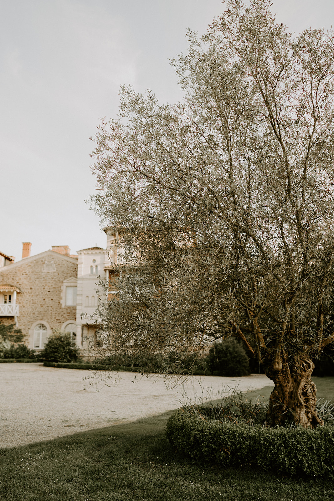 Domaine de l'Etabliere Vendée