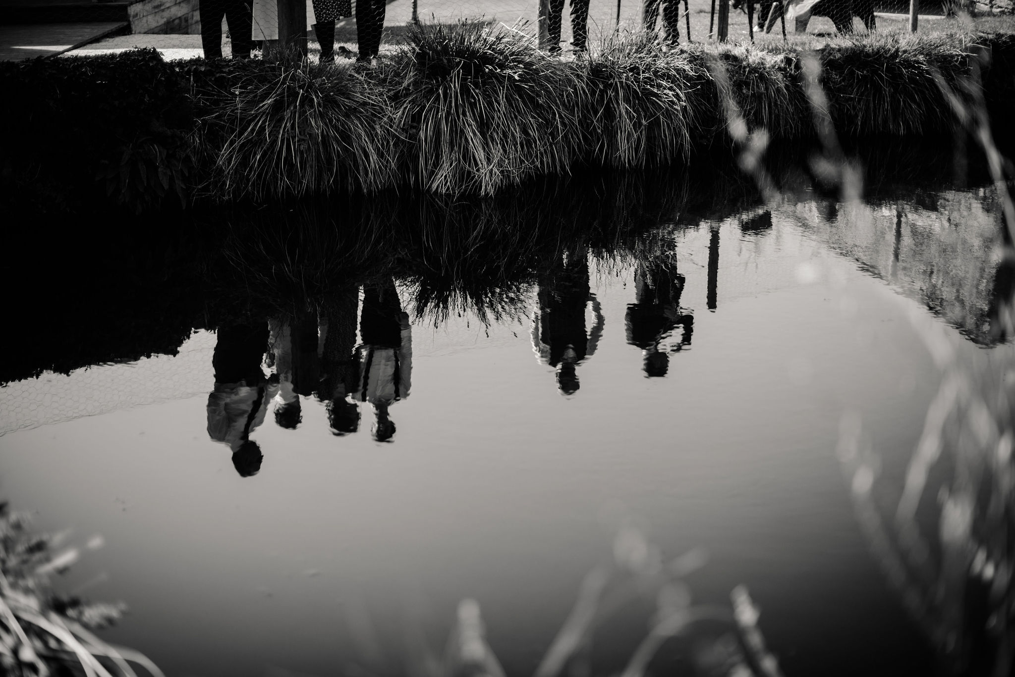 domaine mariage vannes