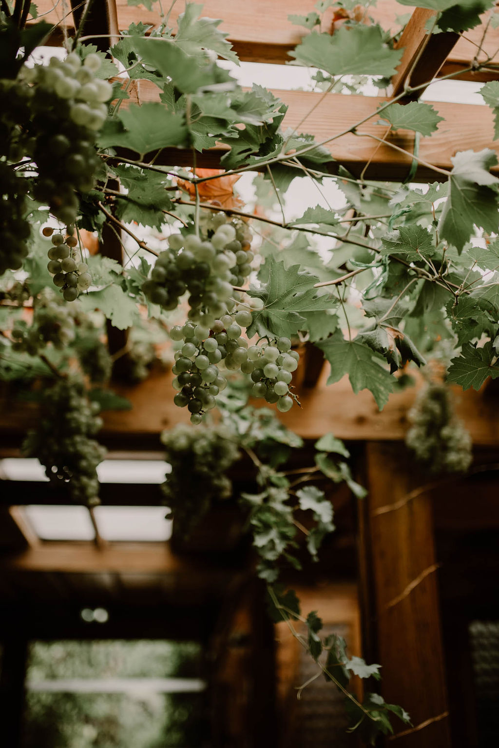 mariage decoration florale autour du vin