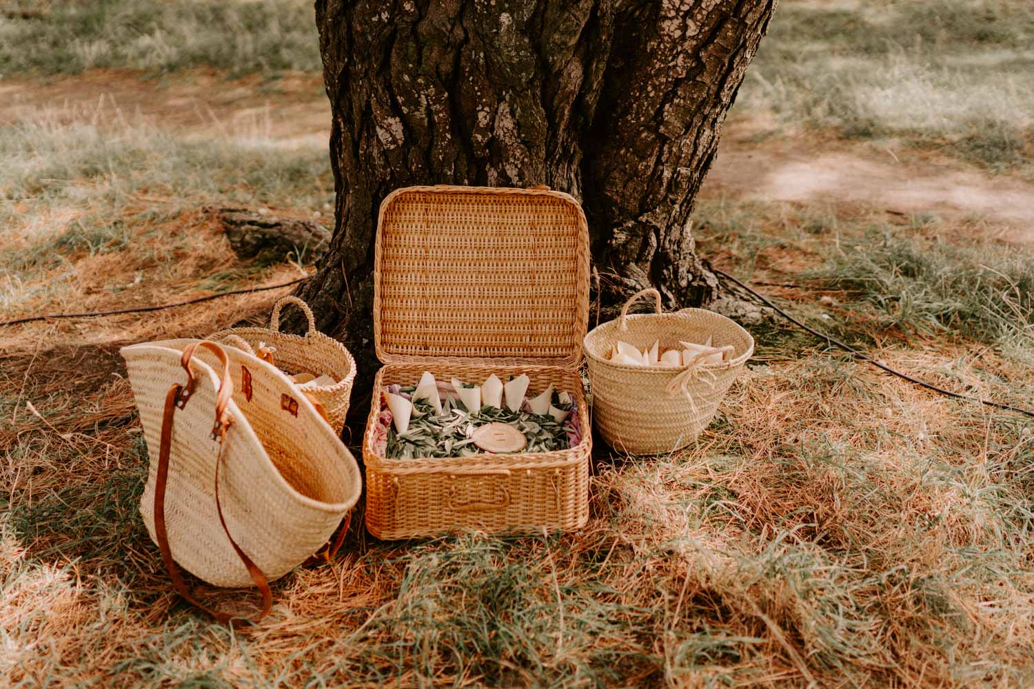rituels de ceremonie mariage morbihan