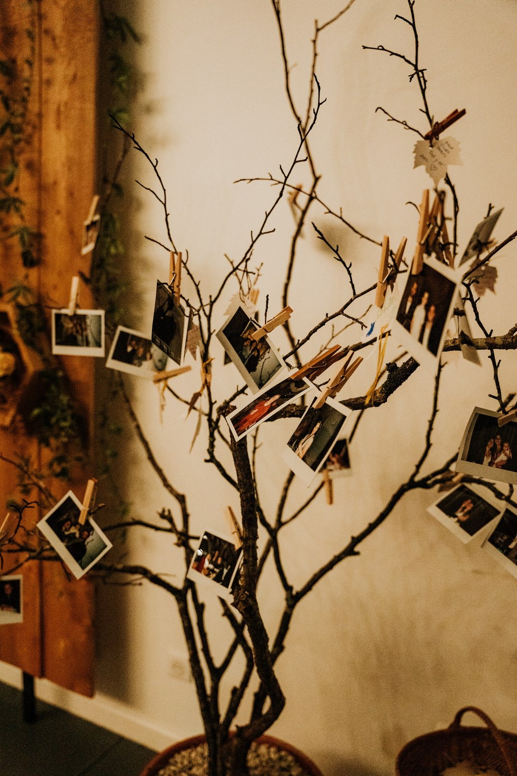 livre d'or arbre à voeux