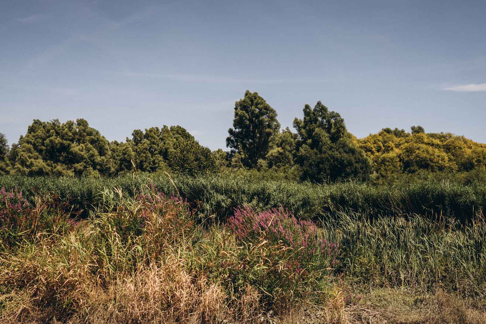 conseils mariage maison domicile nature