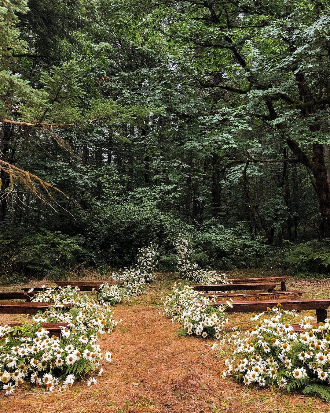 idee allee de ceremonie decoration florale mariage