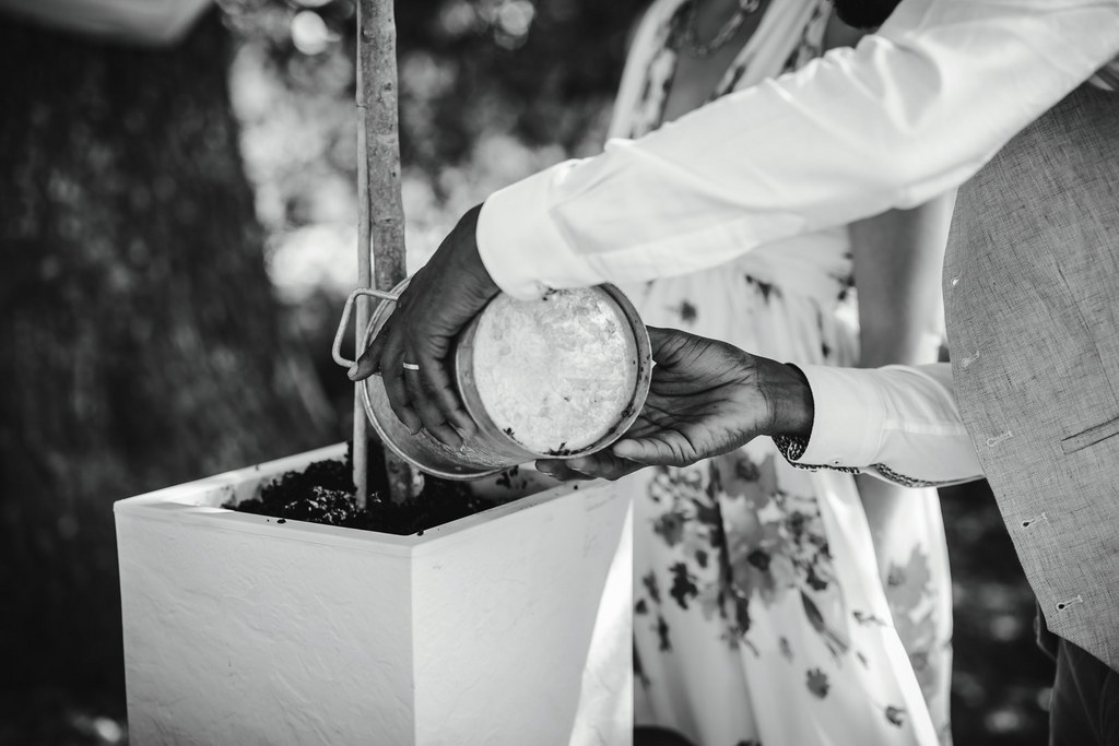 rituel de larbre ceremonie laique mariage