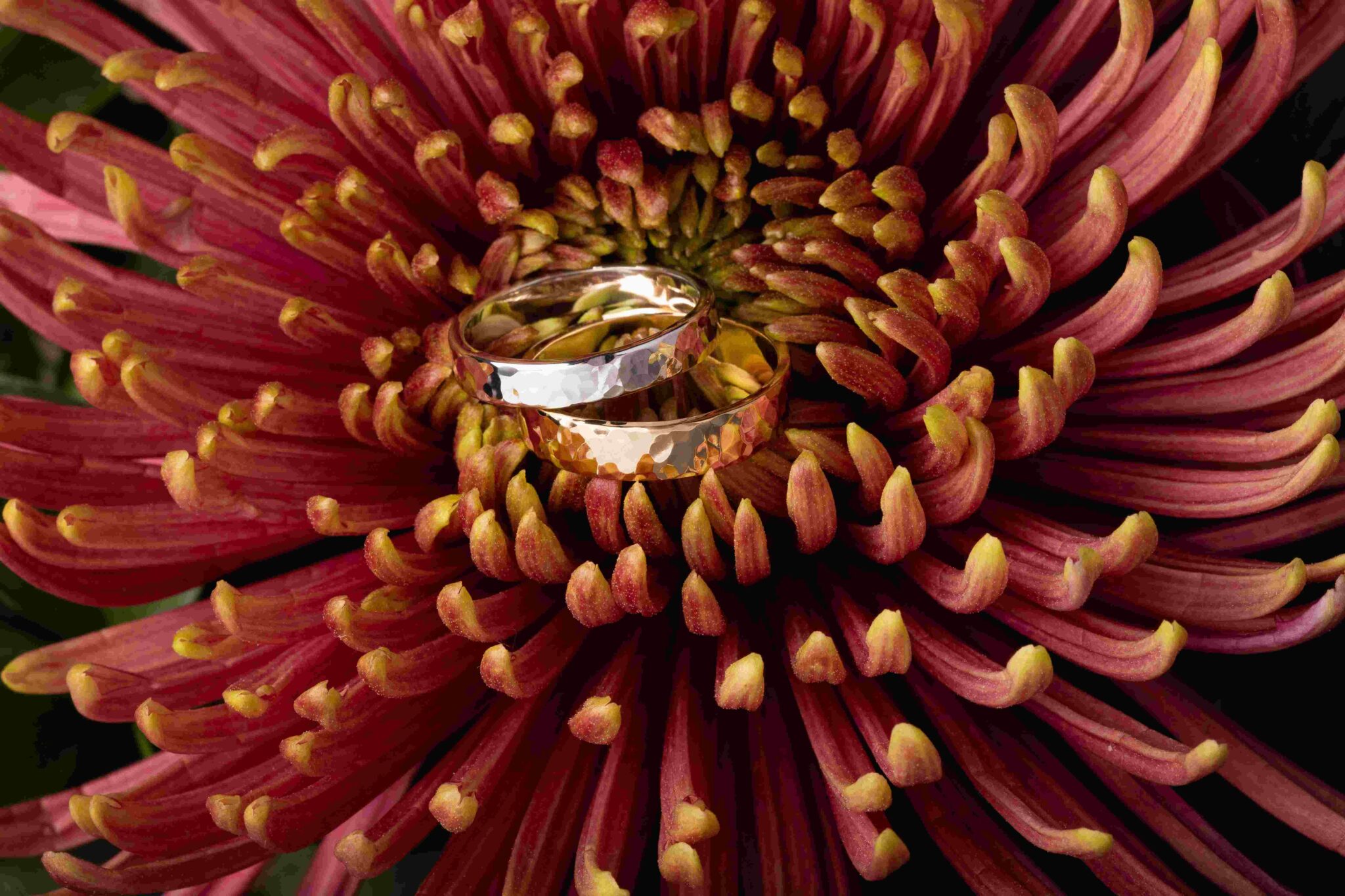 alliances bijoux sur mesure maine et loire