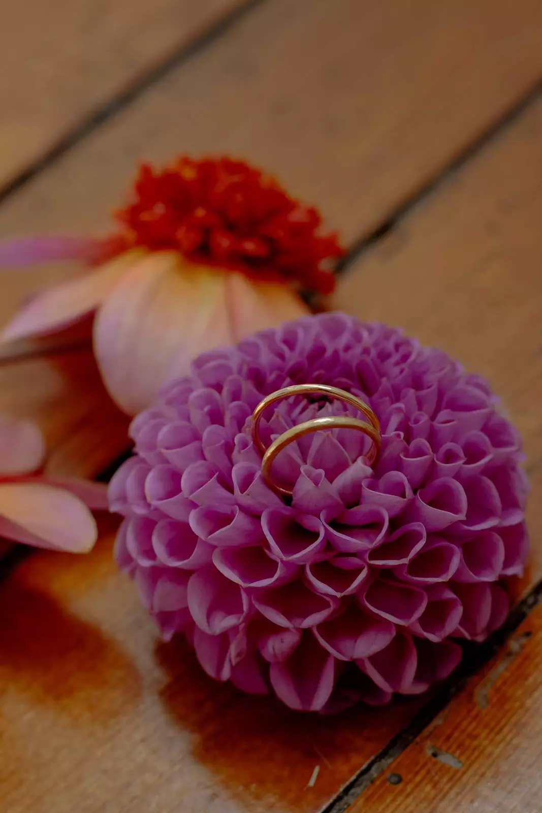 alliance joallier mariage ecoresponsable nantes