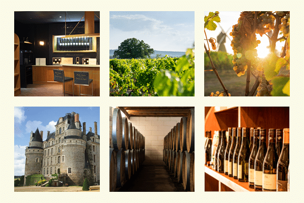 cooperative vins de loire conseils mariage