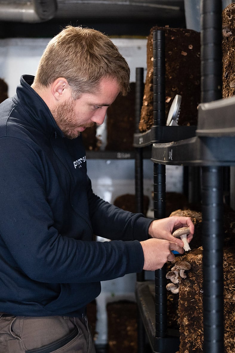 champignons ferme urbaine angers