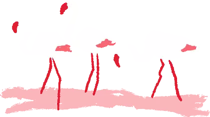 flamants