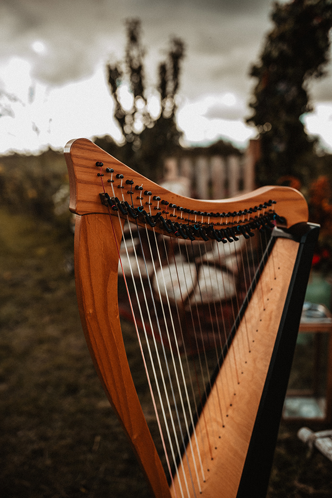 musicien mariage harpe