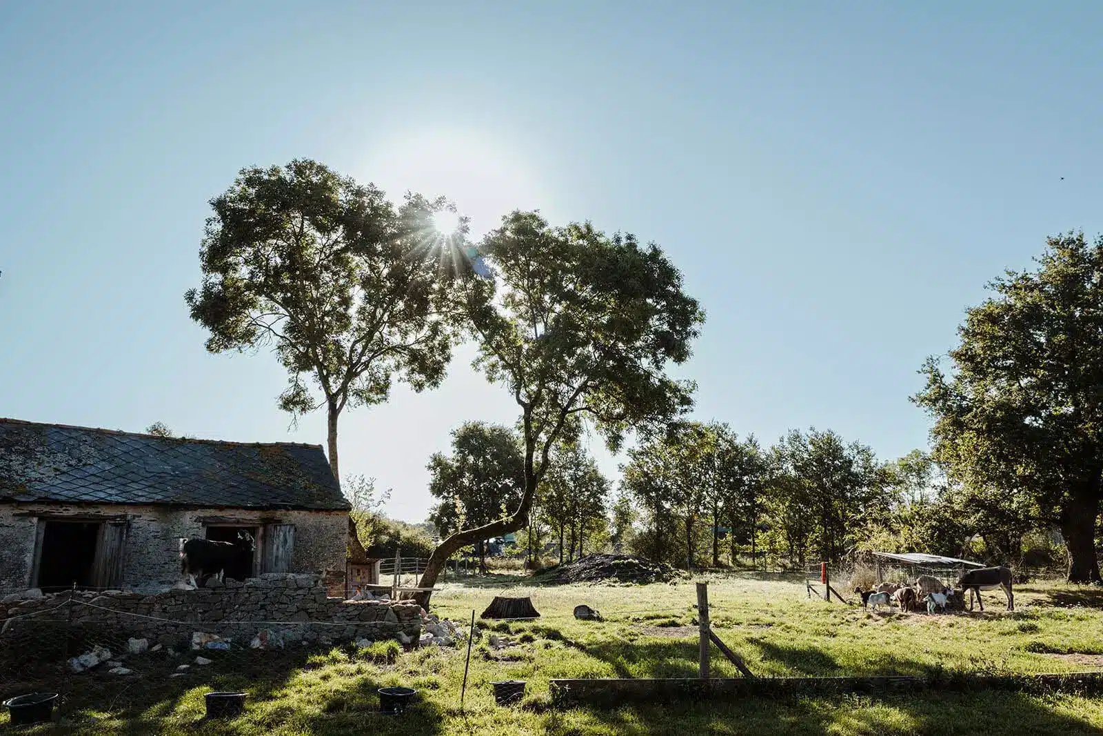 mariage plein air campagne angers