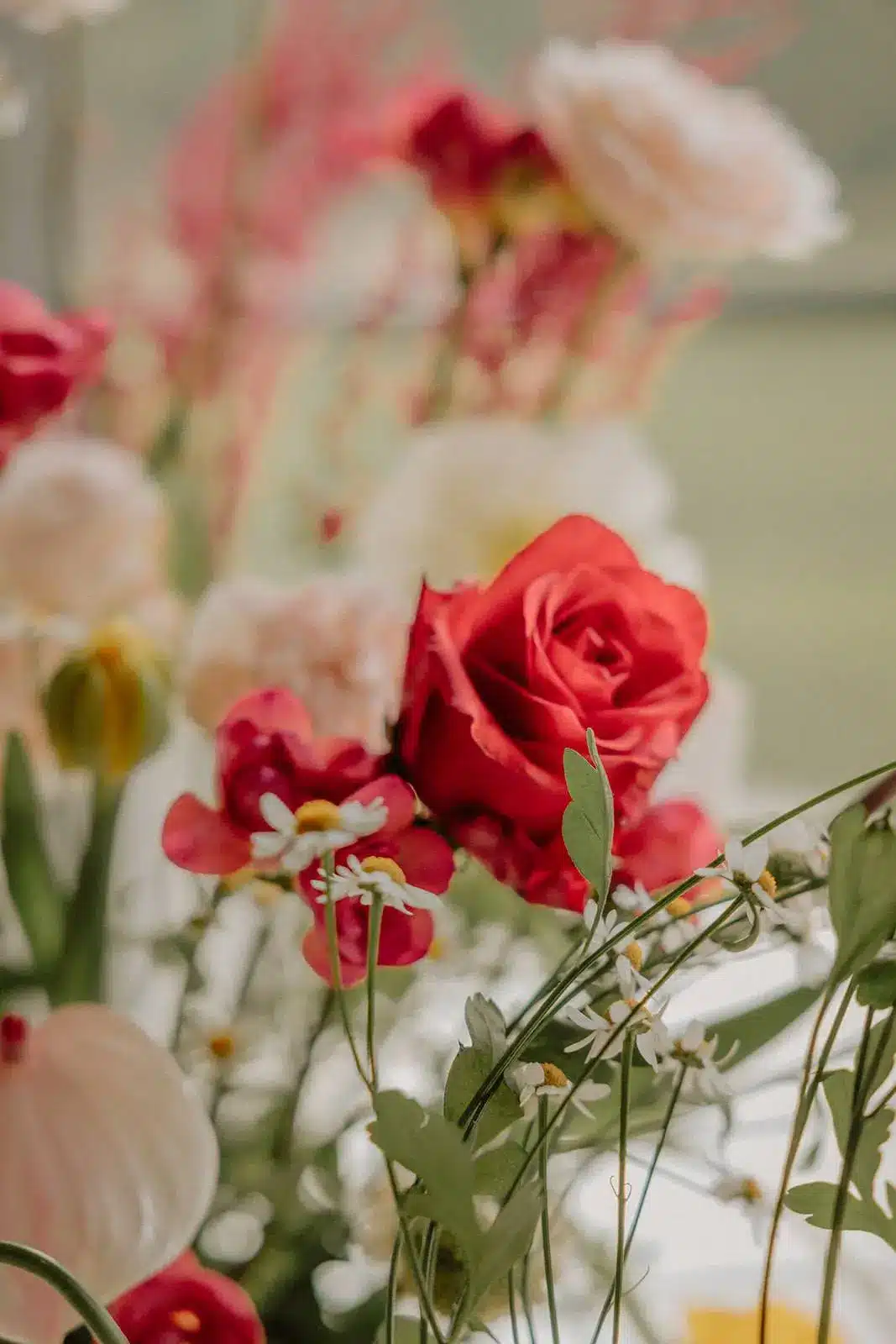 Fleurs Colorées Printemps Mariage