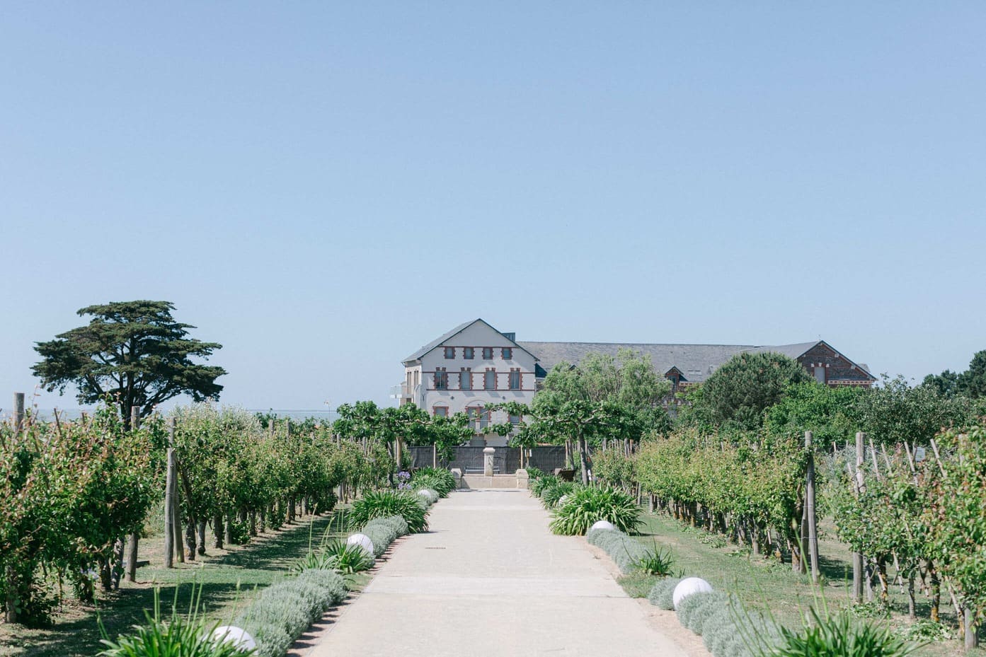 mariage vigne loire atlantique