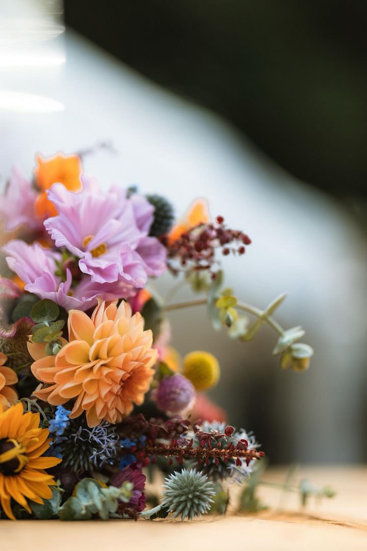 fleurs françaises le mans