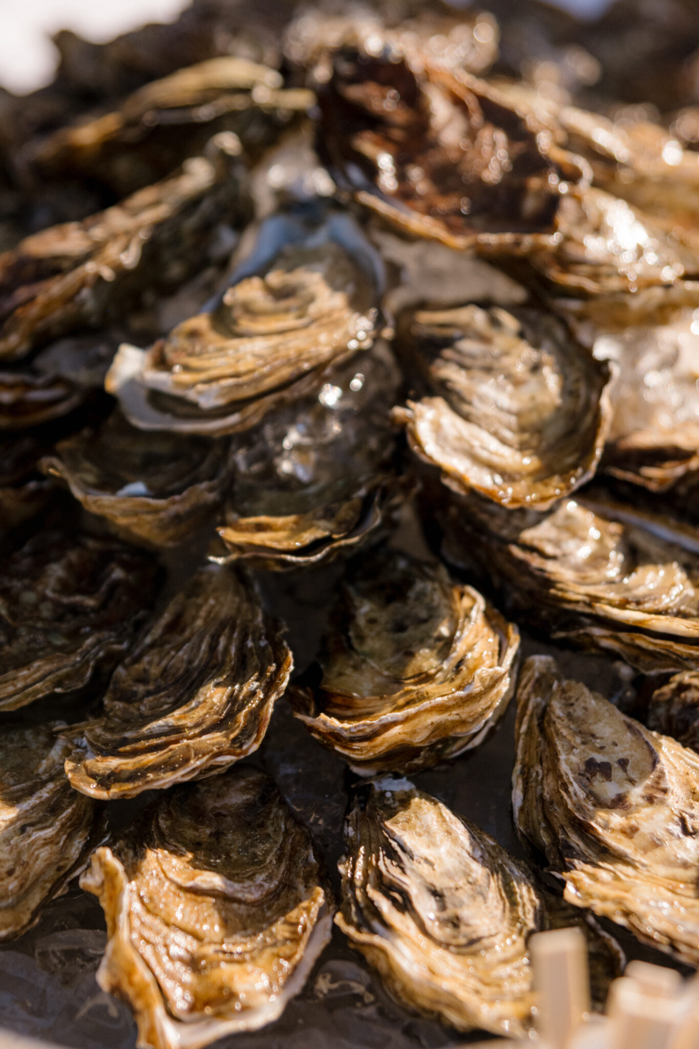 huitre du bassin d'arcachon servies en atelier culinaire lors d'un mariage au Pyla