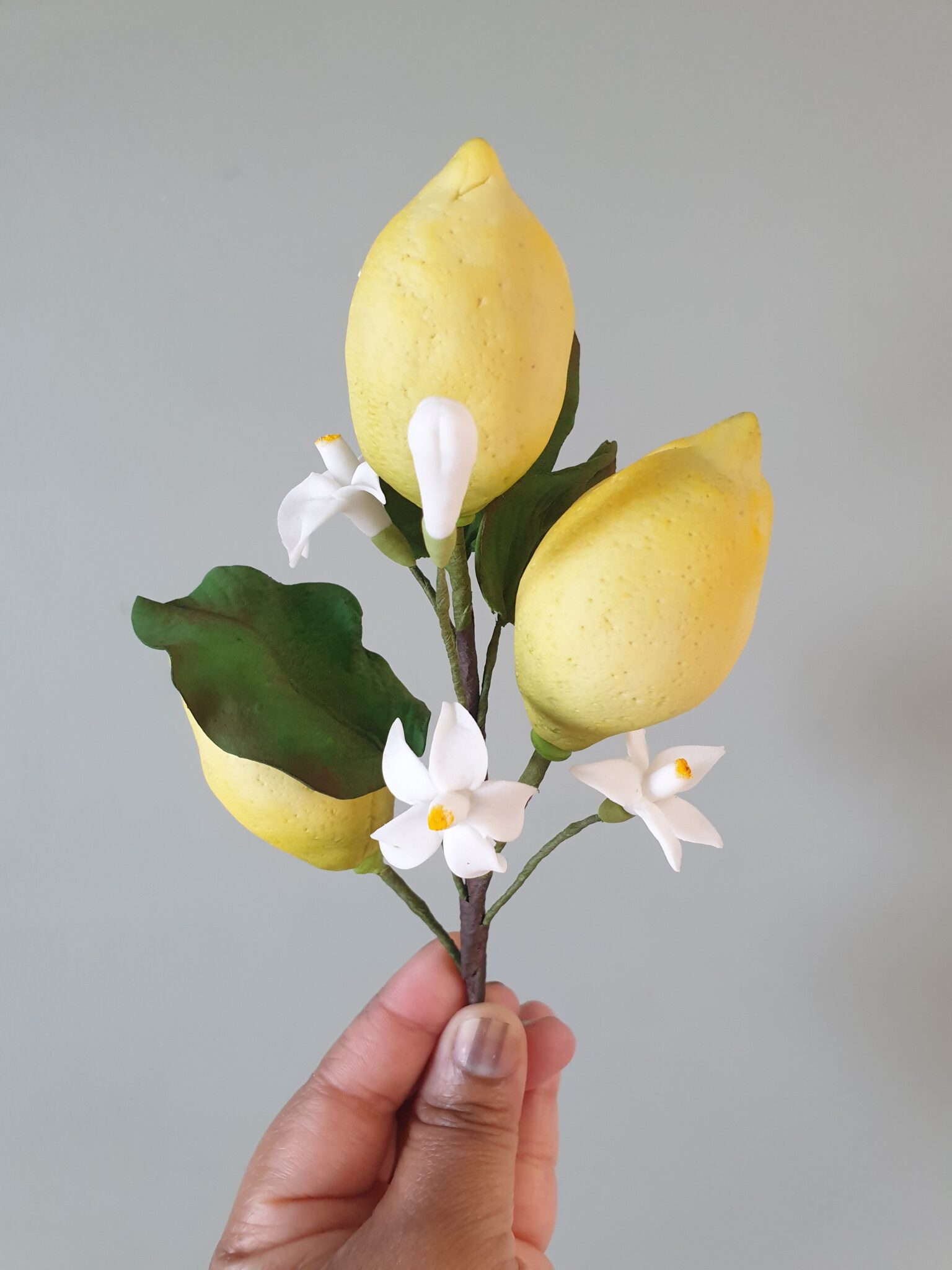 Gâteaux Mariage Vendée/Loire Atlantique/Nantes