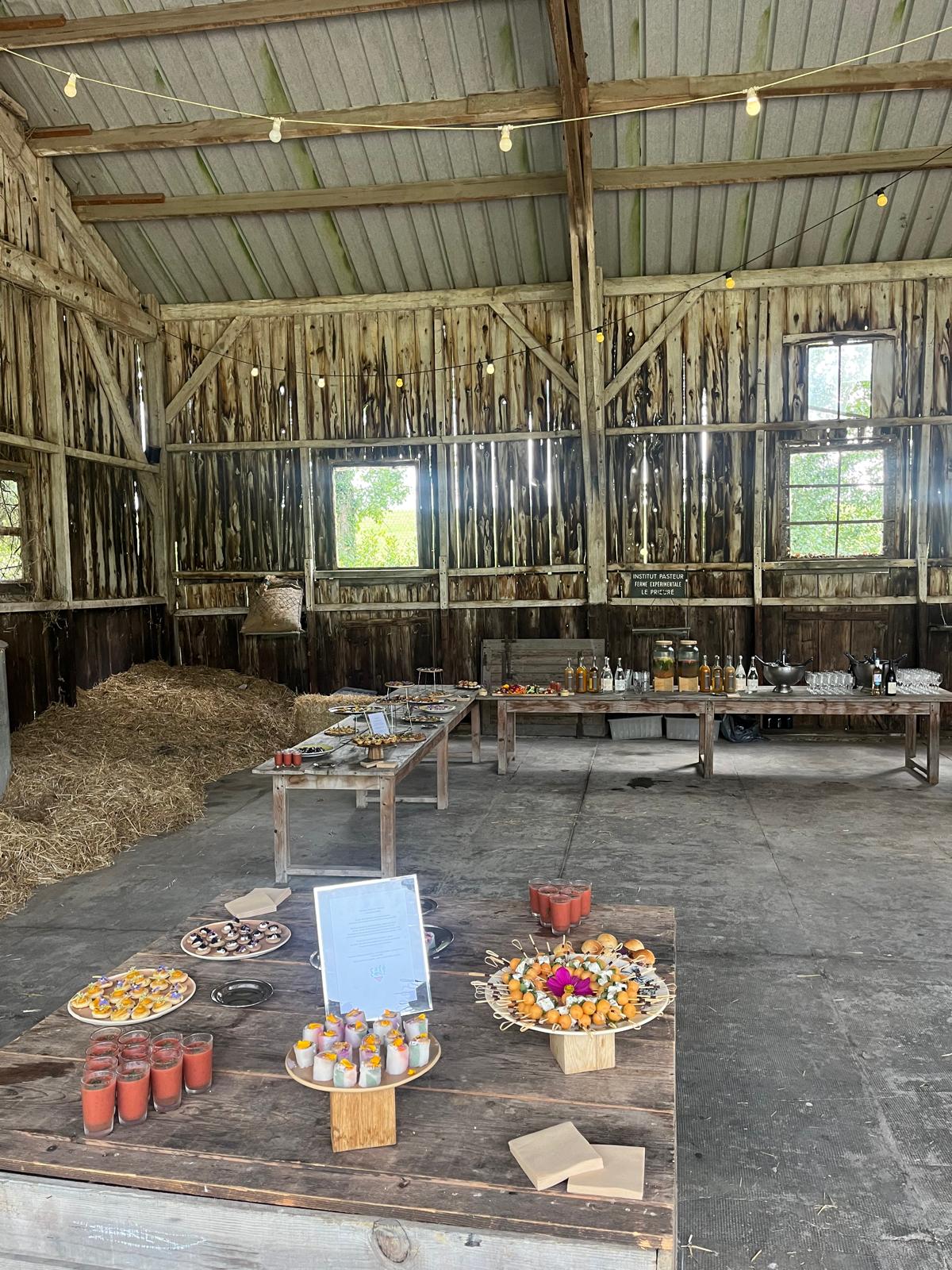Buffet écoresponsable avec vaisselle raffinée et produits locaux.