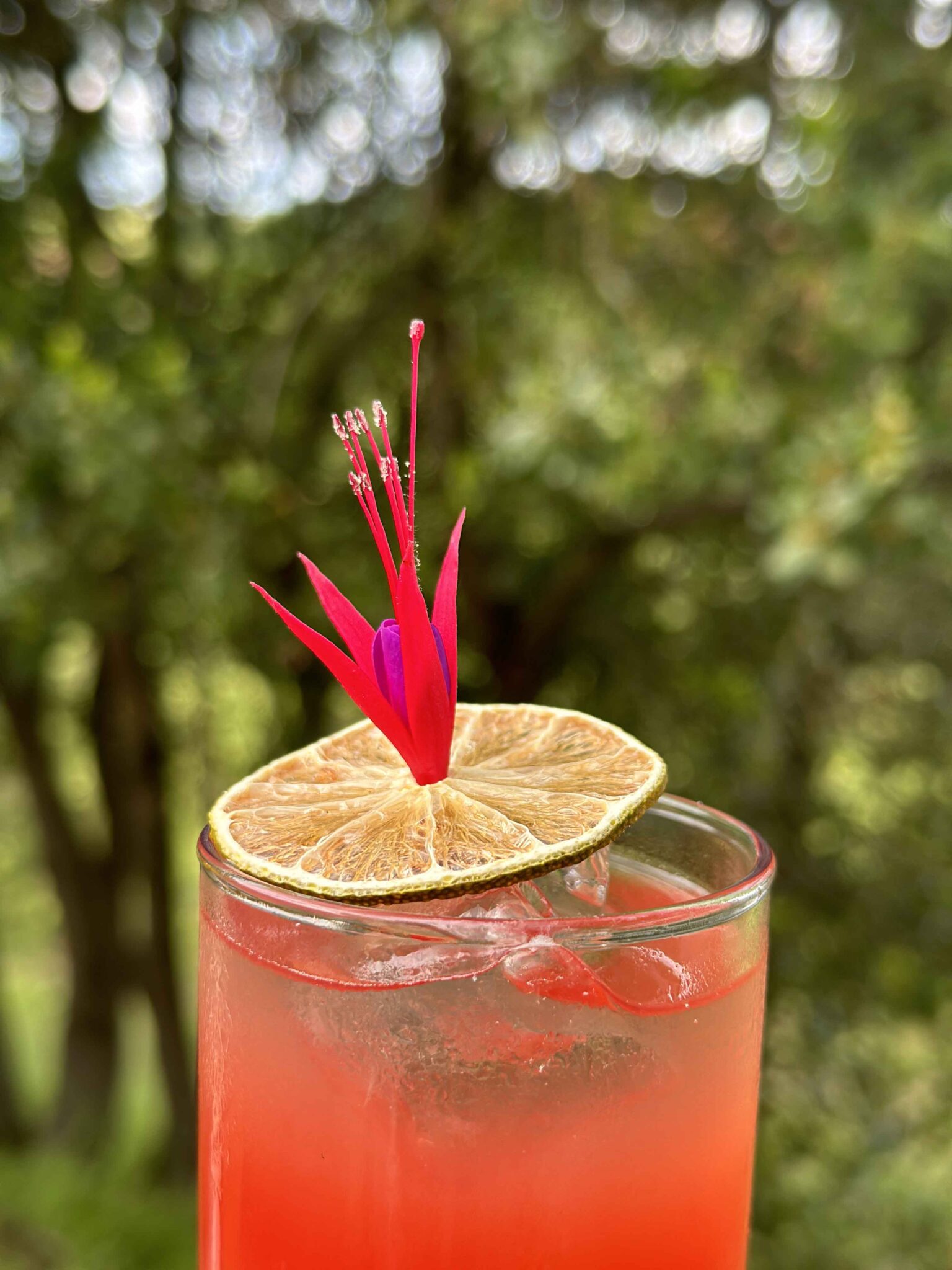 cocktail original lors d'un mariage à bodeaux