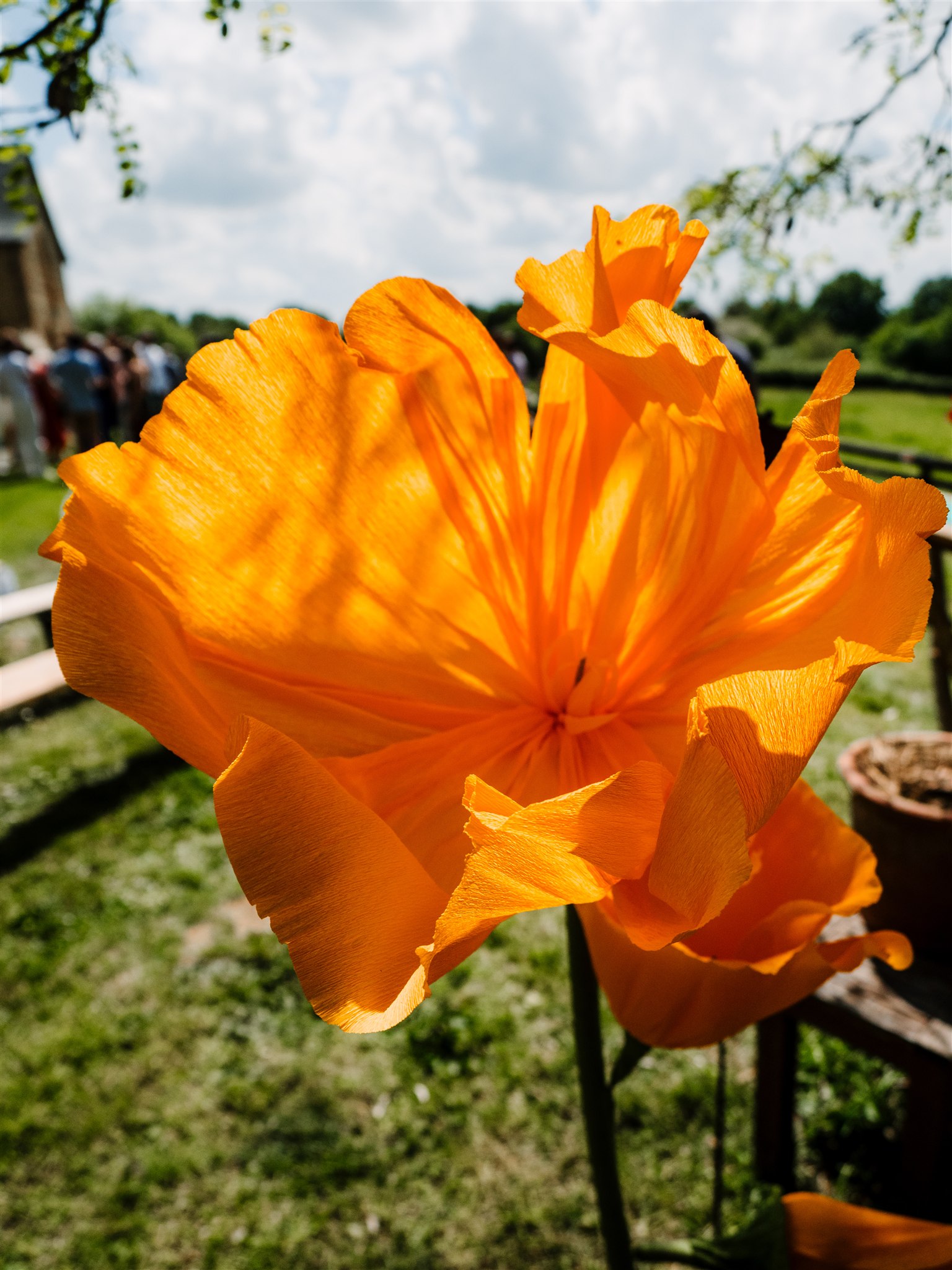 fleur papier orange mariage anjou