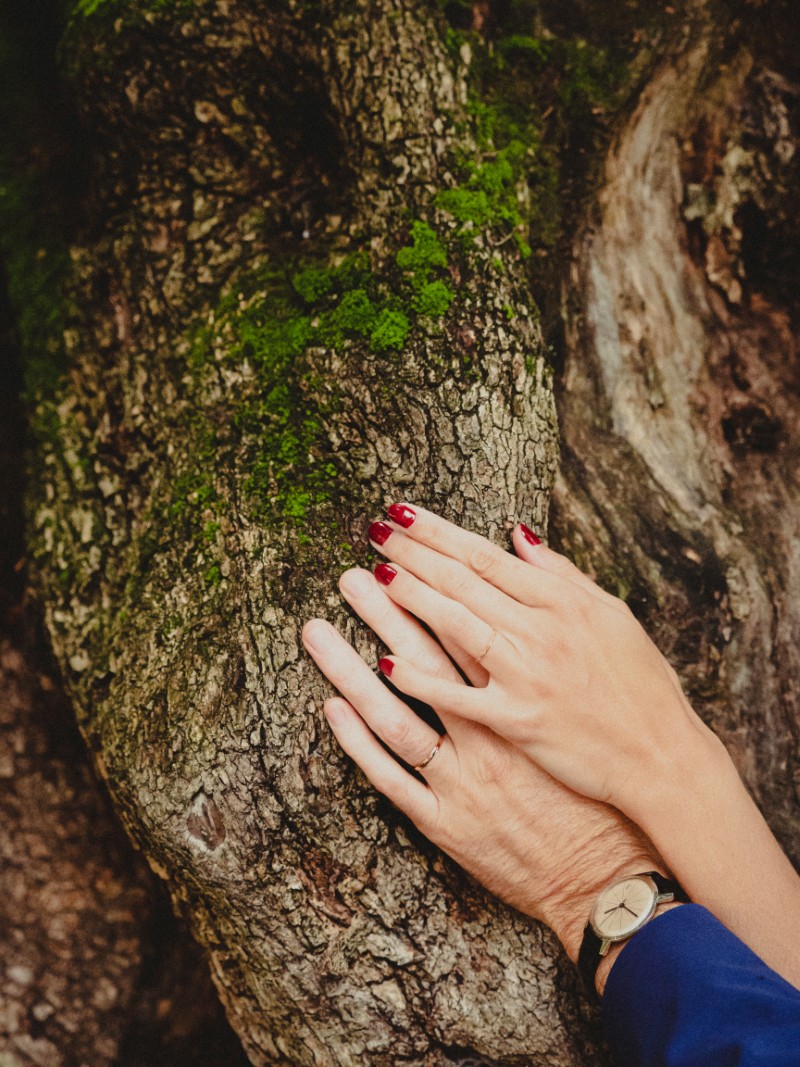 mains de jeunes mariés avec leurs alliances éthiques