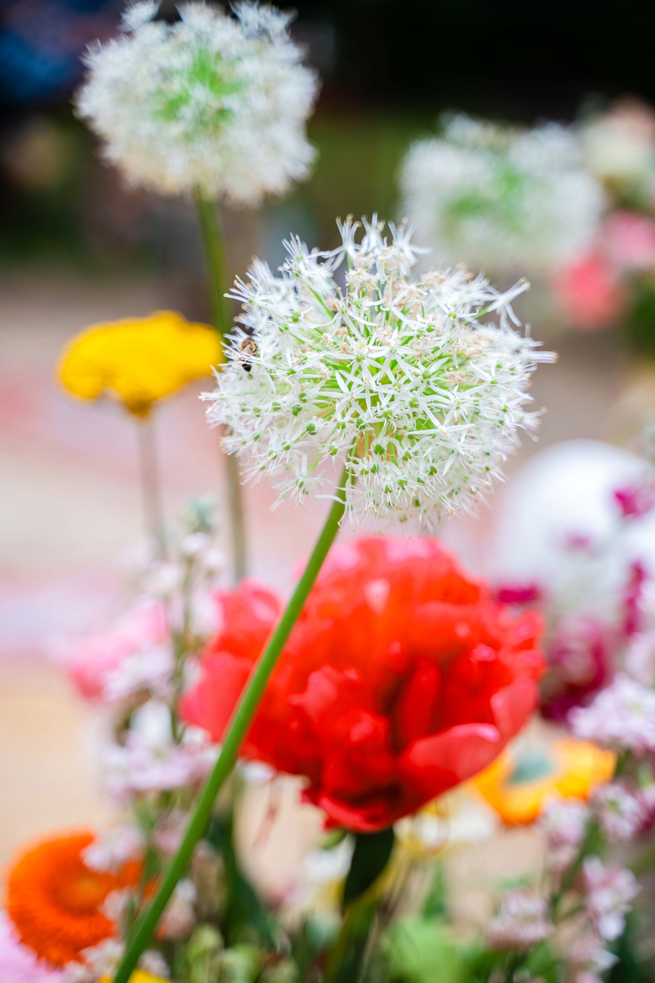 fleurs bouquets couleurs mariage angers
