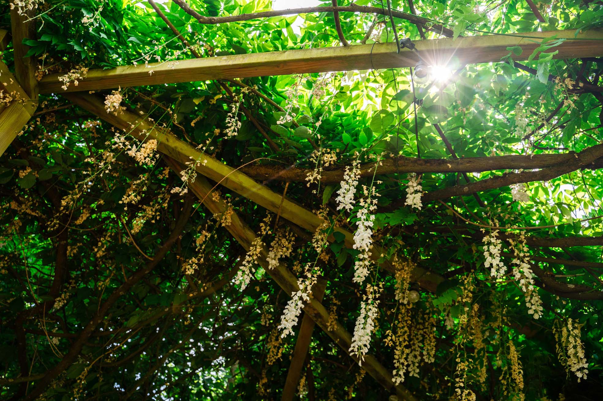 domaine mariage nature ceremonie touraine