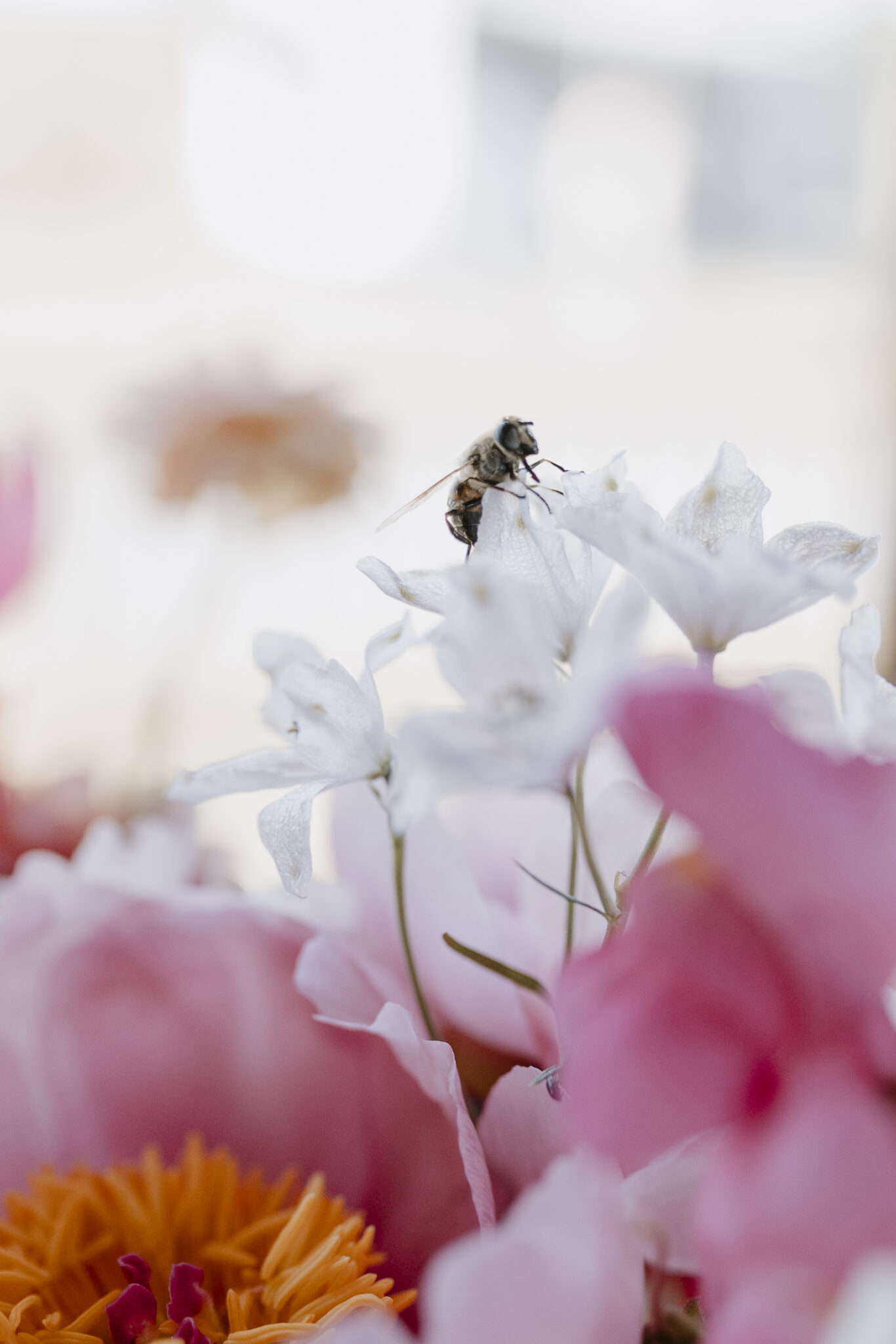 mariage nature bohème le mans