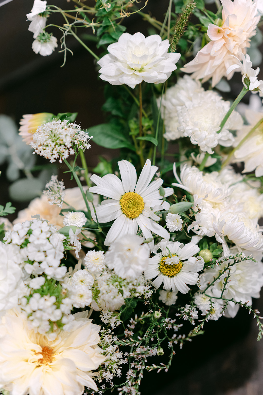 fleurs locales sarthe