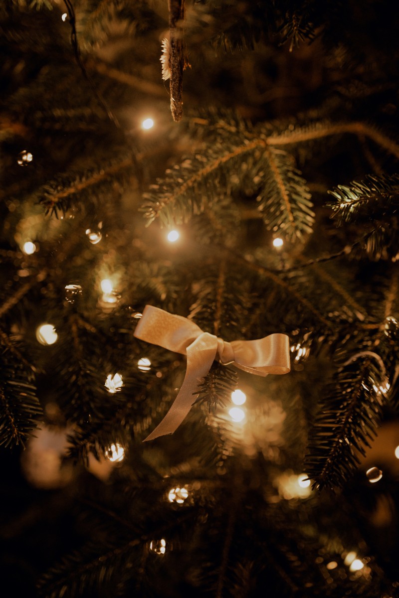 idée de décoration de sapin originale pour un mariage d'hiver à noël