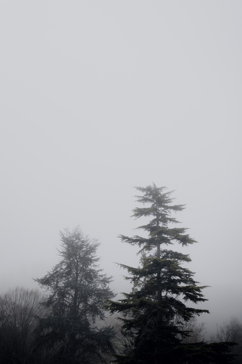 ambiance hivernale pour un mariage de Noel près de Bordeaux